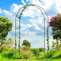 Arche double arceaux en acier Basale 1.48m x 2.16m