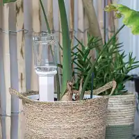 Cône d'arrosage en terre cuite - blanc ou rouge