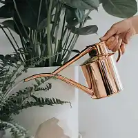 Arrosoir en cuivre Haws 1L