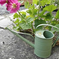 Arrosoir en métal au design vintage 1.5 litres - vert clair