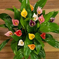 Arum en céramique sur tige à planter - Déco jardin
