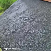 Mangeoire à oiseaux - Pour graines et blocs de graisse, toit imitation ardoise