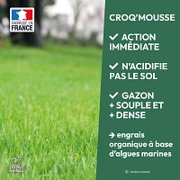 Croq mousse des gazons - biostimulant naturel