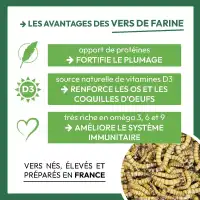 Vers de farine séchés - Nourriture pour oiseaux 200g