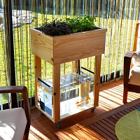 Kit aquaponie avec aquarium et bac de culture en bois - Aquapouss'