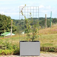 Bac jardinière avec treillis en acier
