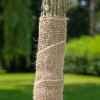 Bande de jute 22cm x 10m - Protection des troncs d'arbre