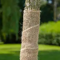 Bande de jute 22cm x 10m - Protection des troncs d'arbre