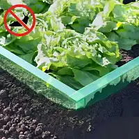 Barrière anti limaces sur-mesure pour potager, L.8m x H.20cm recoupable - Vert transparent