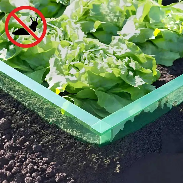 barriere anti limaces potager