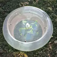 Anneau Stop limaces et escargots