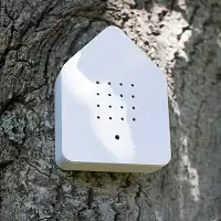 Boite à musique - chant des oiseaux - blanc