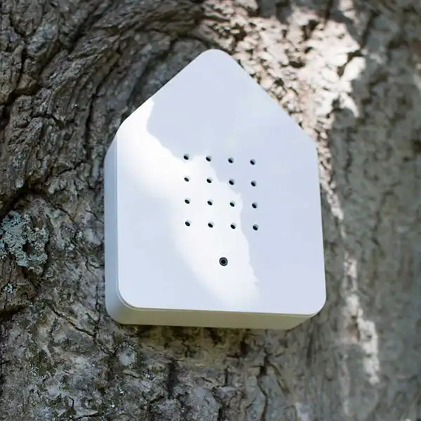 boite sonore bois relaxation arbre