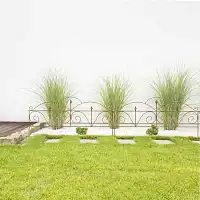 Bordure de jardin lys en acier corten 140cm