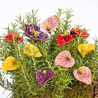 Anthurium en céramique sur tige à planter - Déco jardin