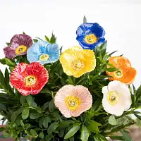 Pavot en céramique sur tige à planter - Déco jardin