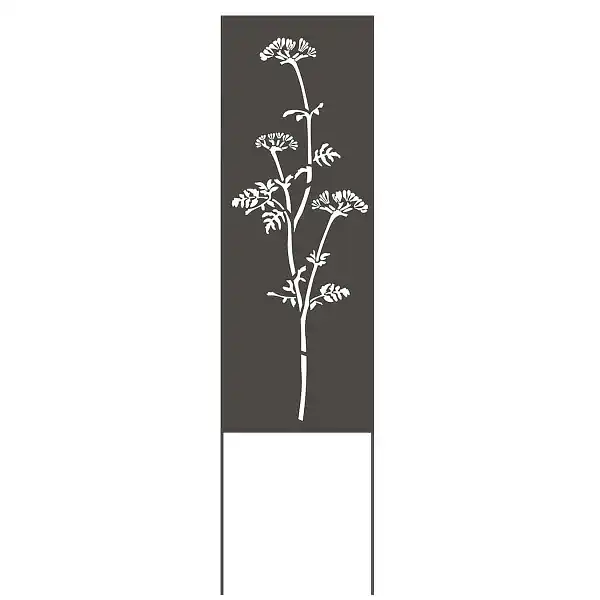 brise vue deco ombellifere gris