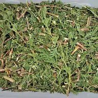 Broyeur végétaux électrique Ribimex 60L