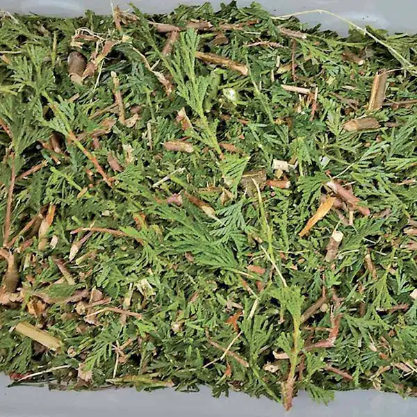 broyeur particulier haie sapin