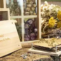 Cadre double face pour fleurs séchées  Cadre double face pour fleurs séchées