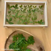 Cadres de séchage empilables pour fleurs en bois