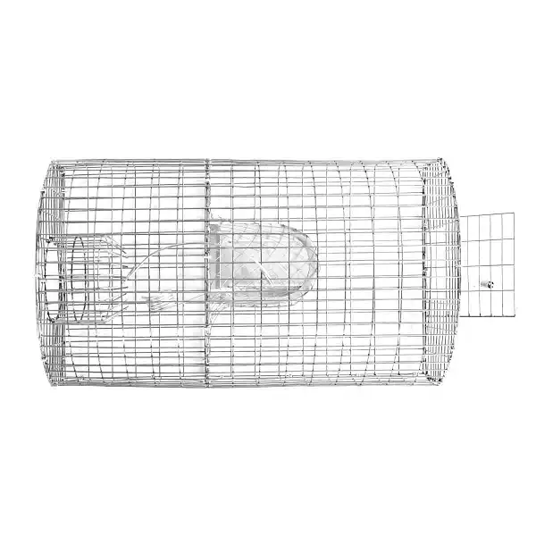cage nasse piege rat rongeurs  cage nasse piege rat rongeurs
