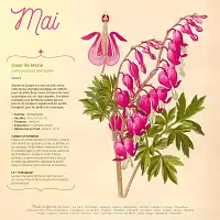 Calendrier 2026 du potager Bio