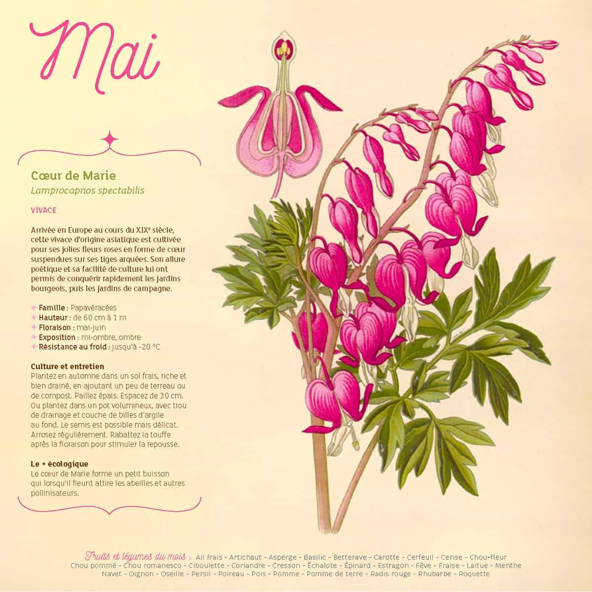 calendrier 2026 du potager bio