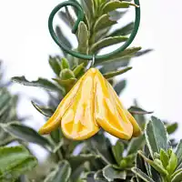 Campanule en céramique sur tige à planter - Déco jardin