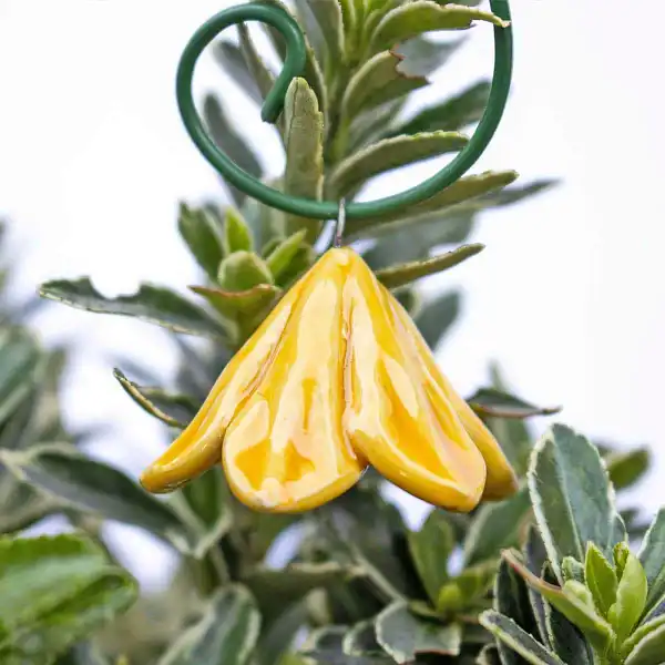 campanule jaune deco ceramique