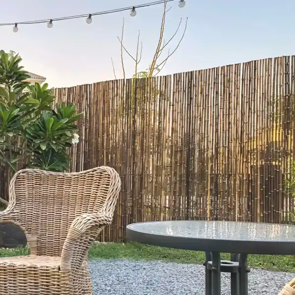 canisse decoration cloture occultant