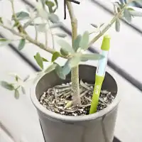 Testeur d'humidité pour plantes - Indicateur d'arrosage SUStee pour savoir quand arroser