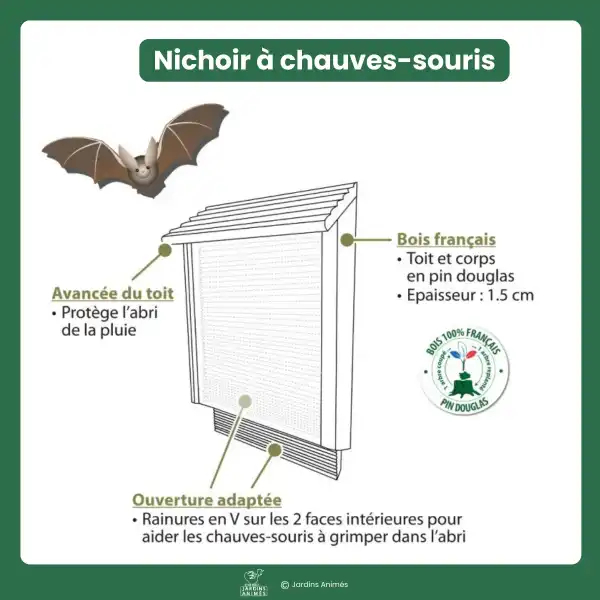caracteristiques nichoir chauve souris
