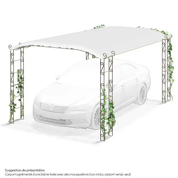 carport voiture metal