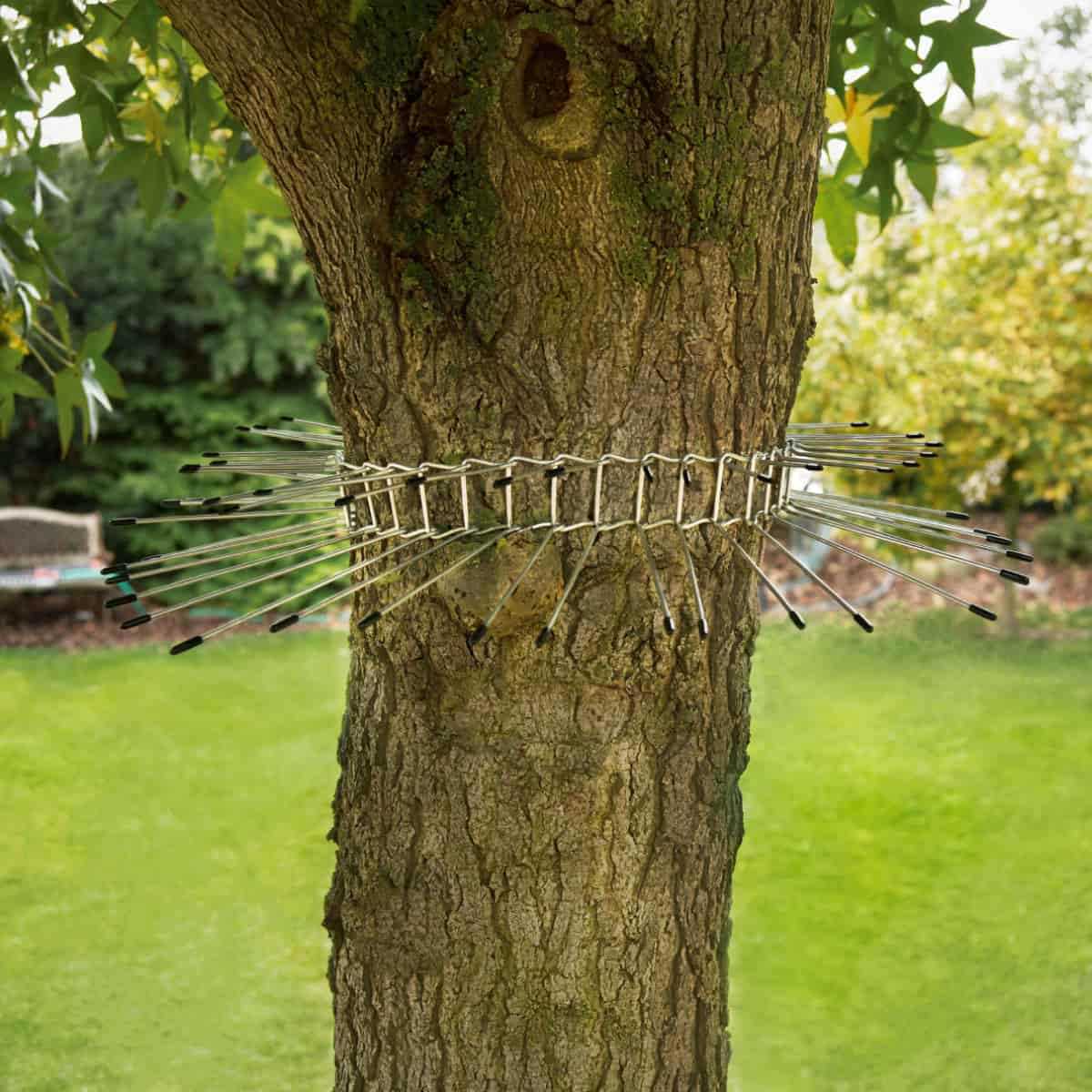 Barrière anti chat pour tronc d'arbre 66cm