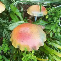 Champignon amanite en acier - lot de 2