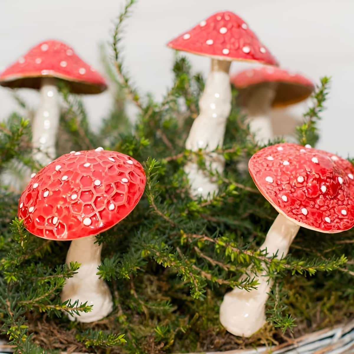 champignons deco ceramique
