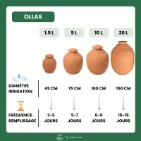 Ollas pot en terre cuite à enterrer - 20 litres - lot de 6