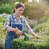 Cisaille à gazon et taille-haie électrique 2 en 1 à batterie 20V - R-BAT20 Ribimex (sans batterie ni chargeur)