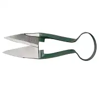 Ciseau à buis vert