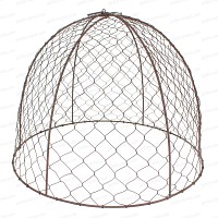 Cloches de protection en grillage à poule