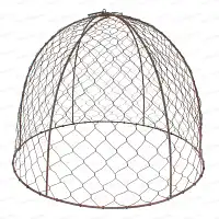Cloches de protection en grillage à poule