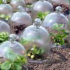 Cloches en verre jardin 25cm - lot de 2