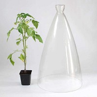 Cloche en verre jardin grand modèle H. 61cm Diam. 35cm