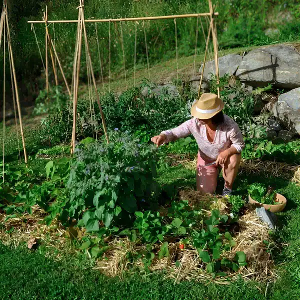 comment faire potager permaculture