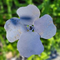 Fleur décorative en acier corten - Coquelicot