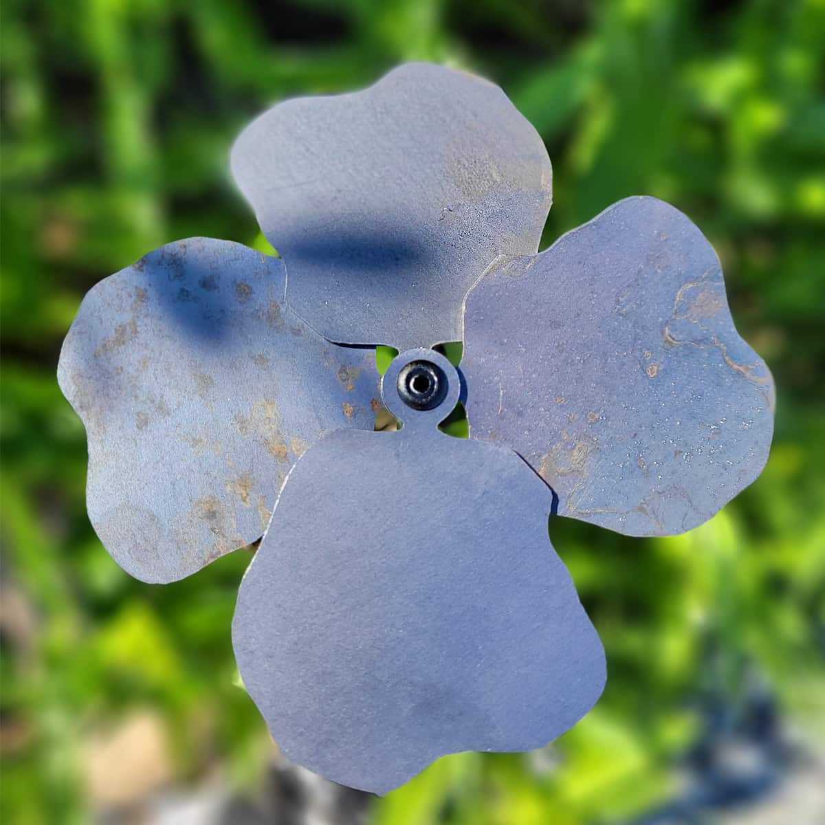 coquelicot corten