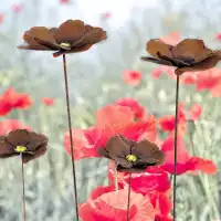 Fleur de coquelicot à planter en métal rouillé