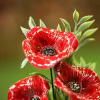 Coquelicot rouge - Fleur en céramique sur tige à planter