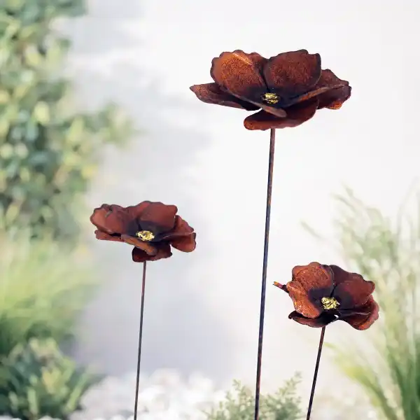 coquelicot rouille jardin original